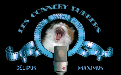 cd_logo_001