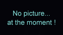 no_picture_at_the_moment
